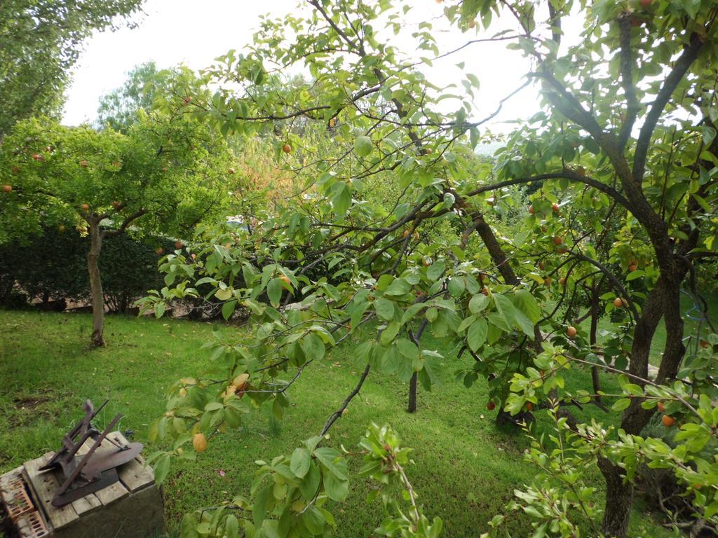 Apartamentos Baeza Rn Zewnętrze zdjęcie